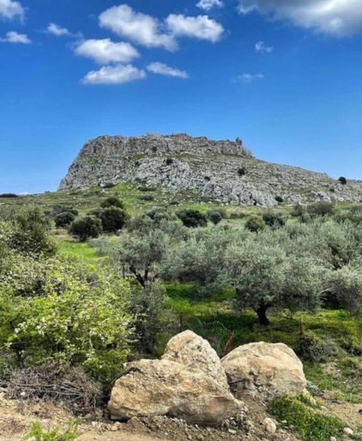 Haraki Dream View Daire Dış mekan fotoğraf